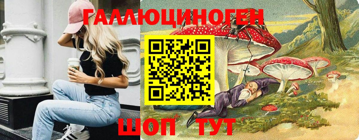 Муравленко  Псилоцибиновые грибы Psilocybine cubensis  Вход с VPN 